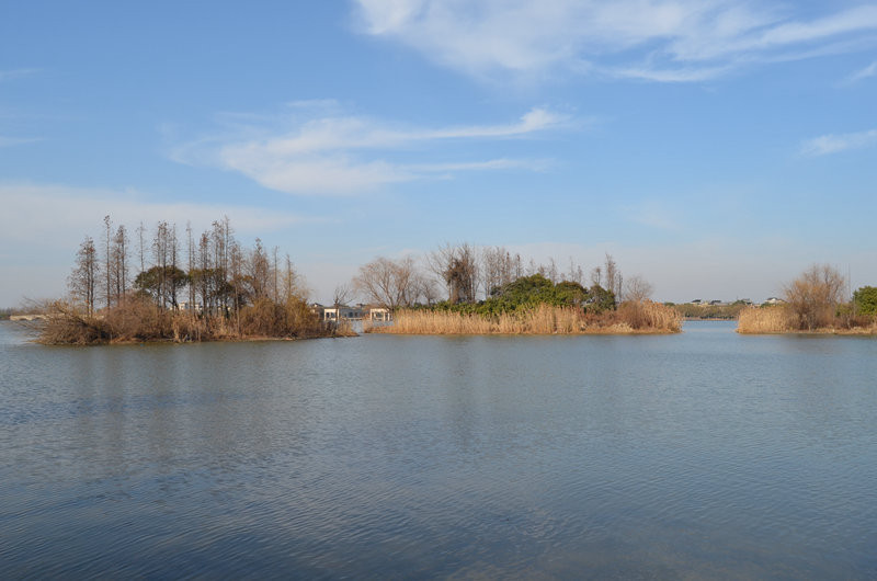 2014年1月24日,上海青浦(曲水园,朱家角古镇,课植园)