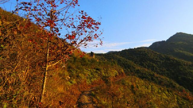 鳌峰山门票,江门鳌峰山攻略/地址/图片/门票价格【携程攻略】