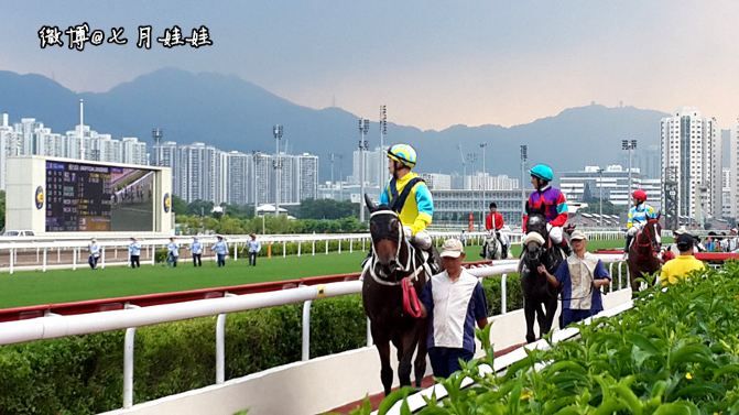 香港周末:在跑马场做一天香港市民 - 香港游记