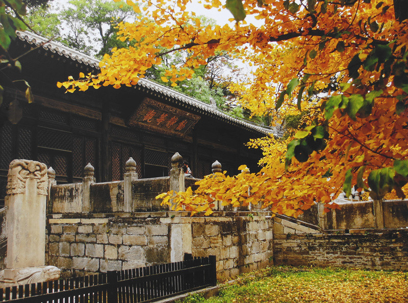 喜欢大觉寺