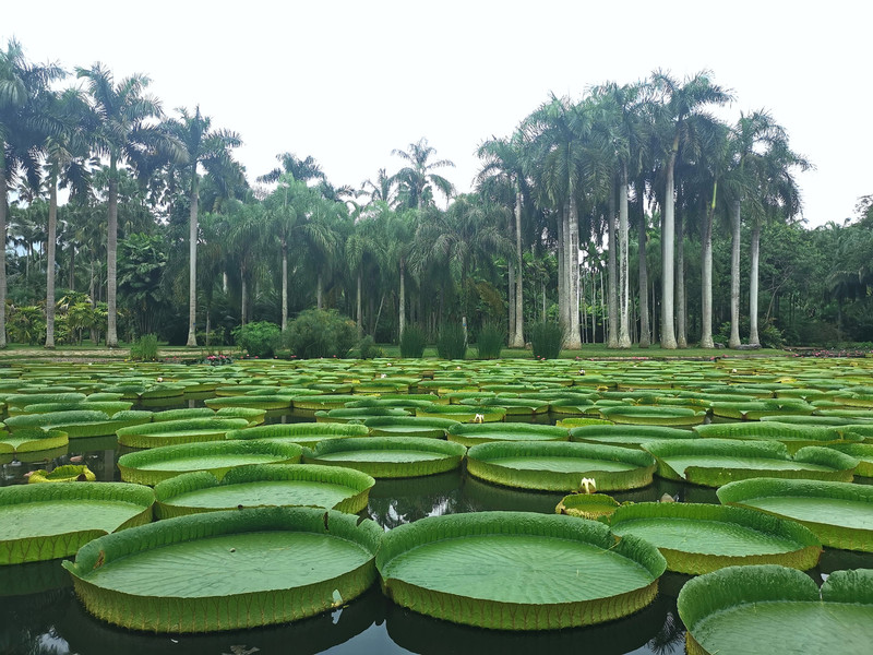 昆明旅游网