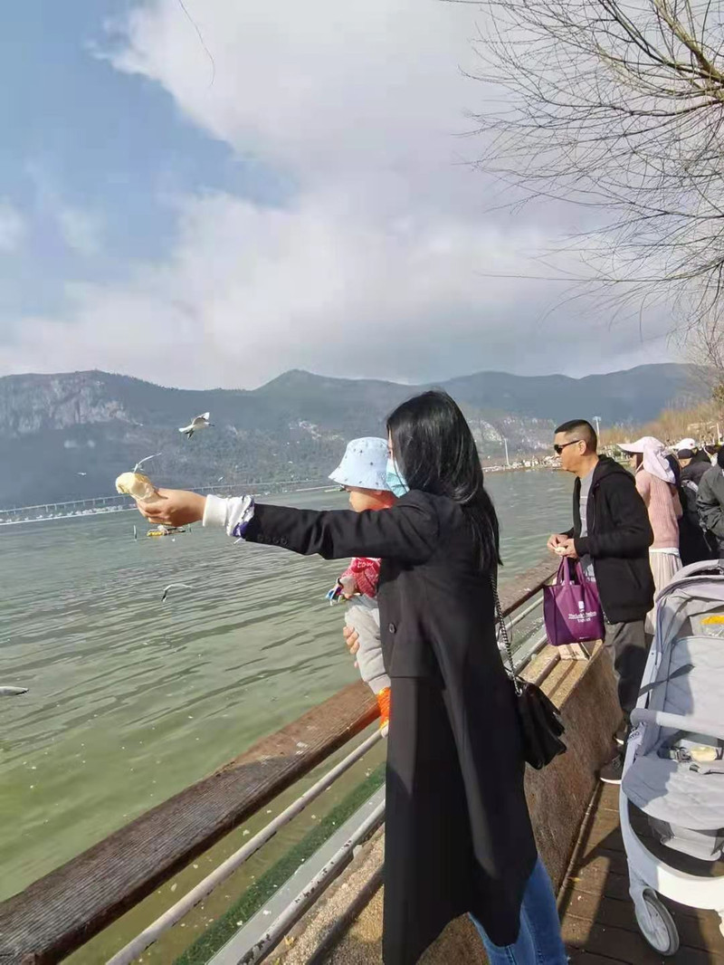 昆明旅游网
