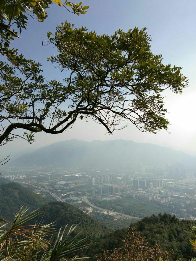 北岭山森林公园