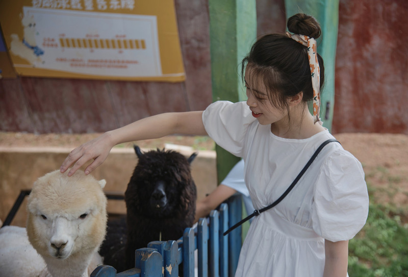 昆明旅游网