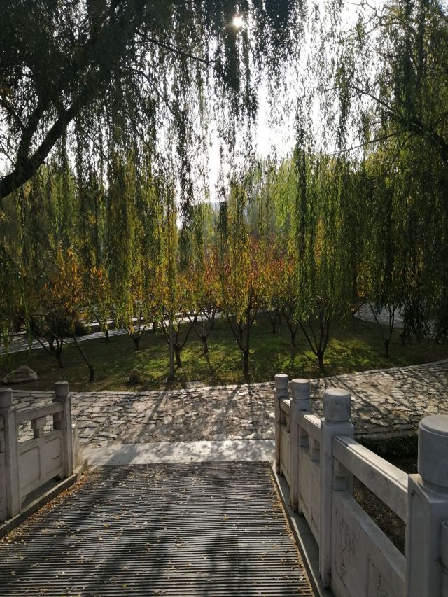 石家庄槐北公园攻略,石家庄槐北公园门票/游玩攻略/地址/图片/门票