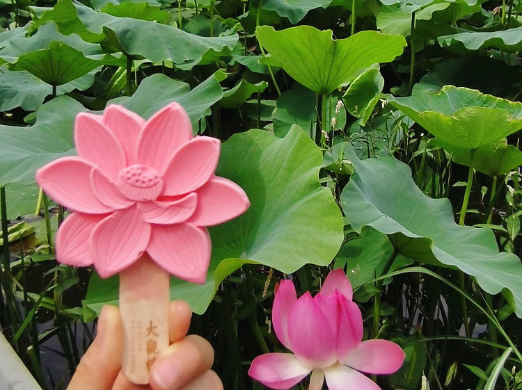 昆明旅游网