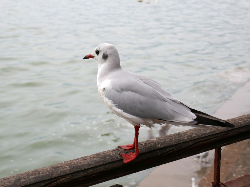 昆明旅游网