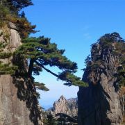 黃山風景區迎客松攻略-迎客松門票價格多少錢-團購票價預定優惠-景點