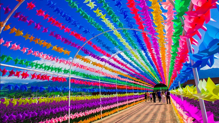 花海那拉提