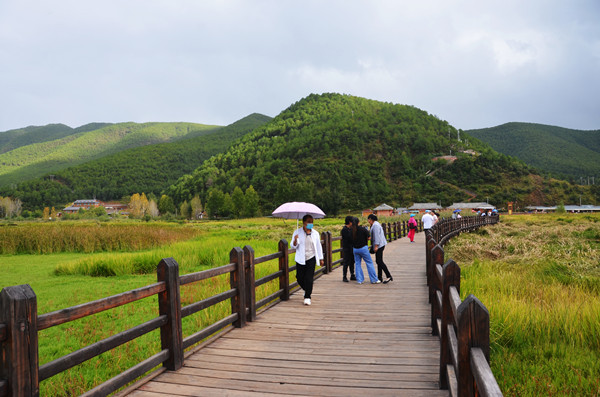 昆明旅游网