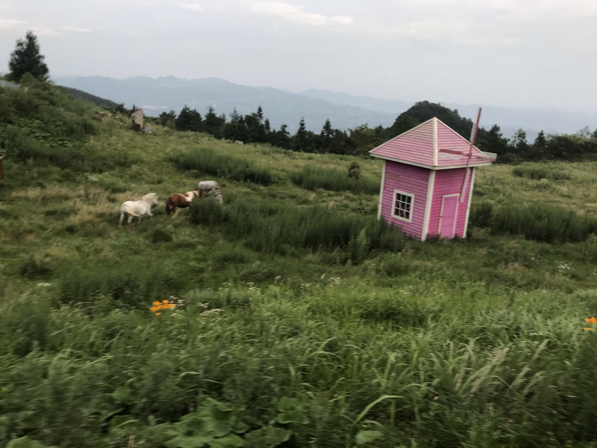 岐山草原