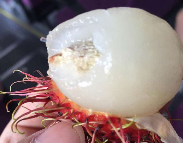 昆明旅游网