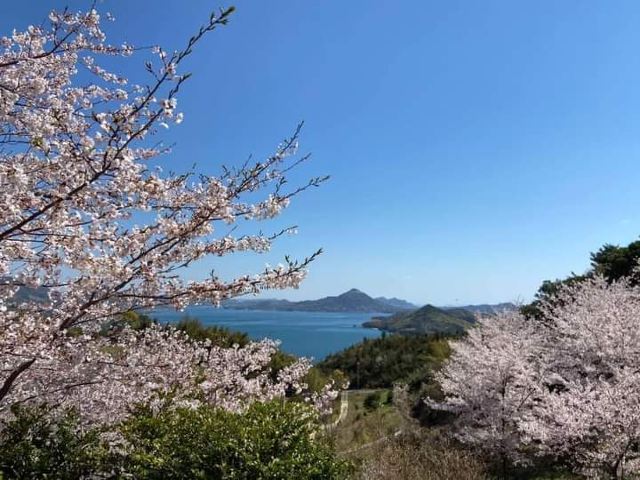今治市開山公園攻略 今治市開山公園门票 游玩攻略 地址 图片 门票价格 携程攻略