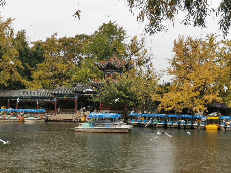 昆明旅游网