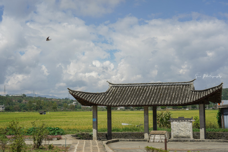 昆明旅游网
