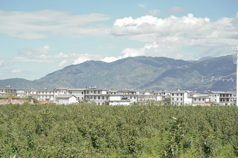 昆明旅游网