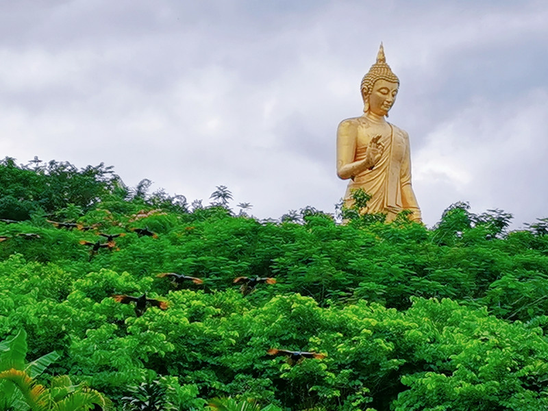 昆明旅游网