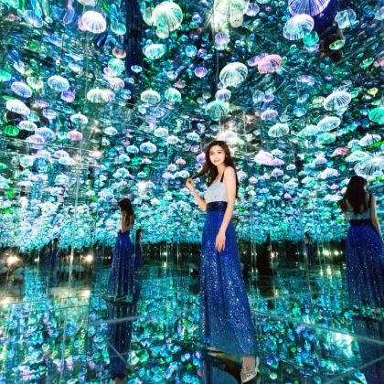 优选小团东方明珠+浦江游览+城隍庙旅游区+外滩观光隧道一日游