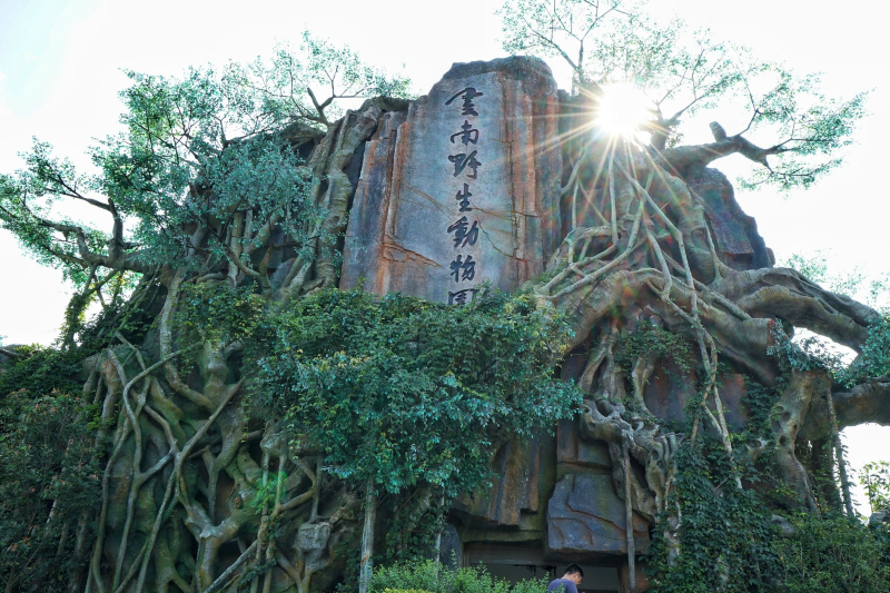 昆明旅游网