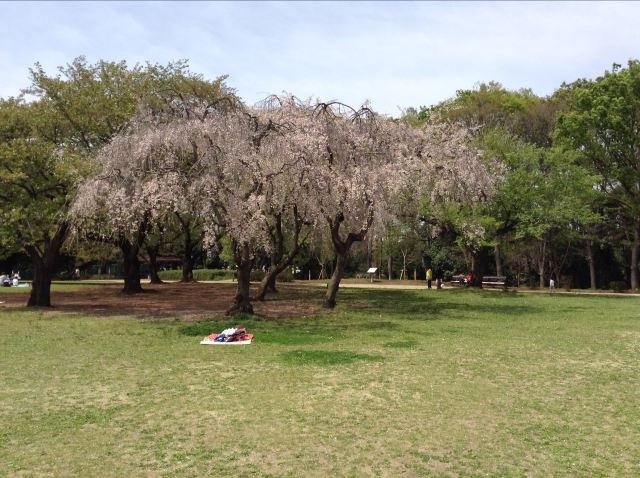 埼玉市大宮第二公園攻略 大宮第二公園门票价格多少钱 团购票价预定优惠 景点地址图片 携程攻略