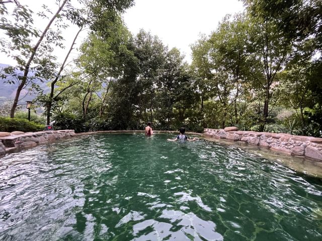 贺州西溪森林温泉度假村游玩攻略简介,贺州西溪森林温泉度假村门票/地址/图片/开放时间/照片/门票价格【携程攻略】