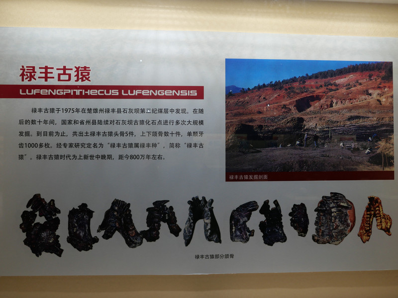 昆明旅游网