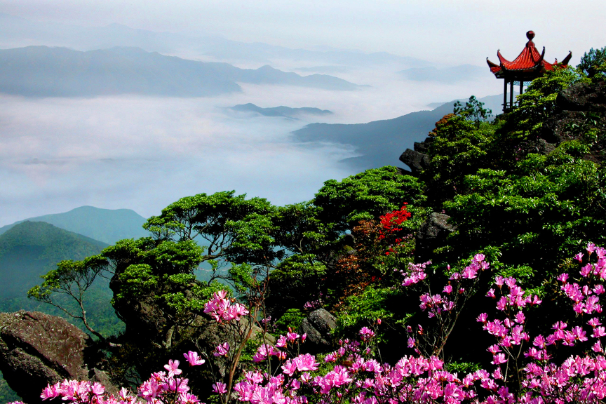 阳明山国家森林公园