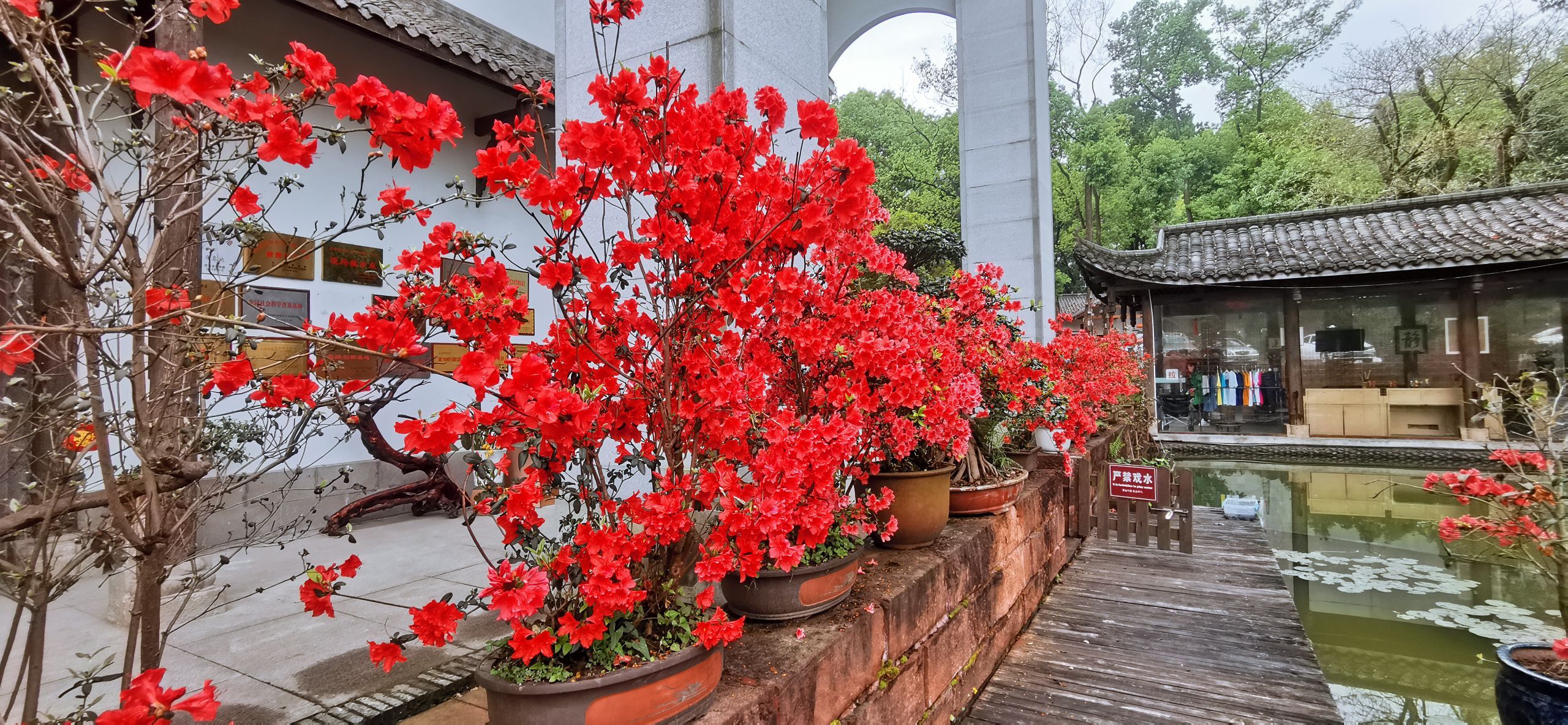 中国根书艺术馆景区