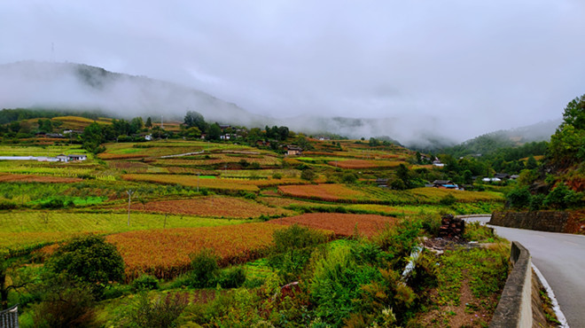 昆明旅游网