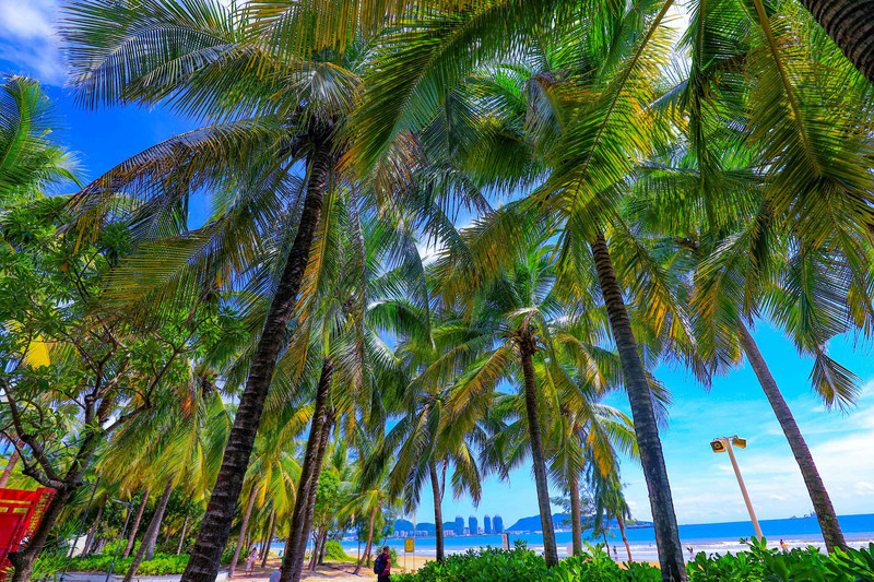 相约海南海口，感受椰城的美食与美景 - 海口游记攻略