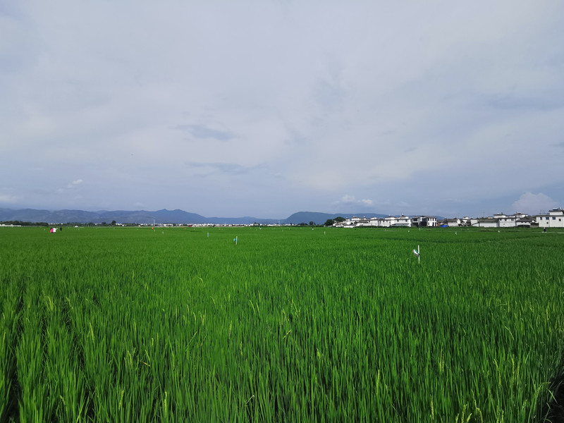 昆明旅游网