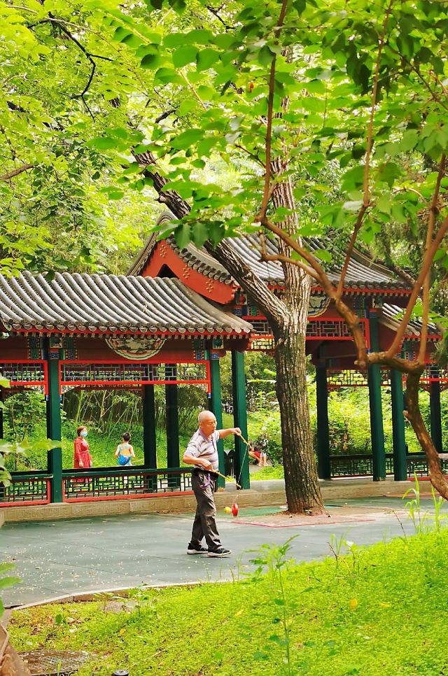 紫竹院公园