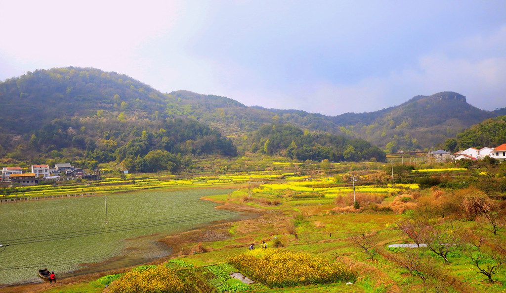 湖北小婺源-中国美丽休闲乡村大冶沼山油菜花 大