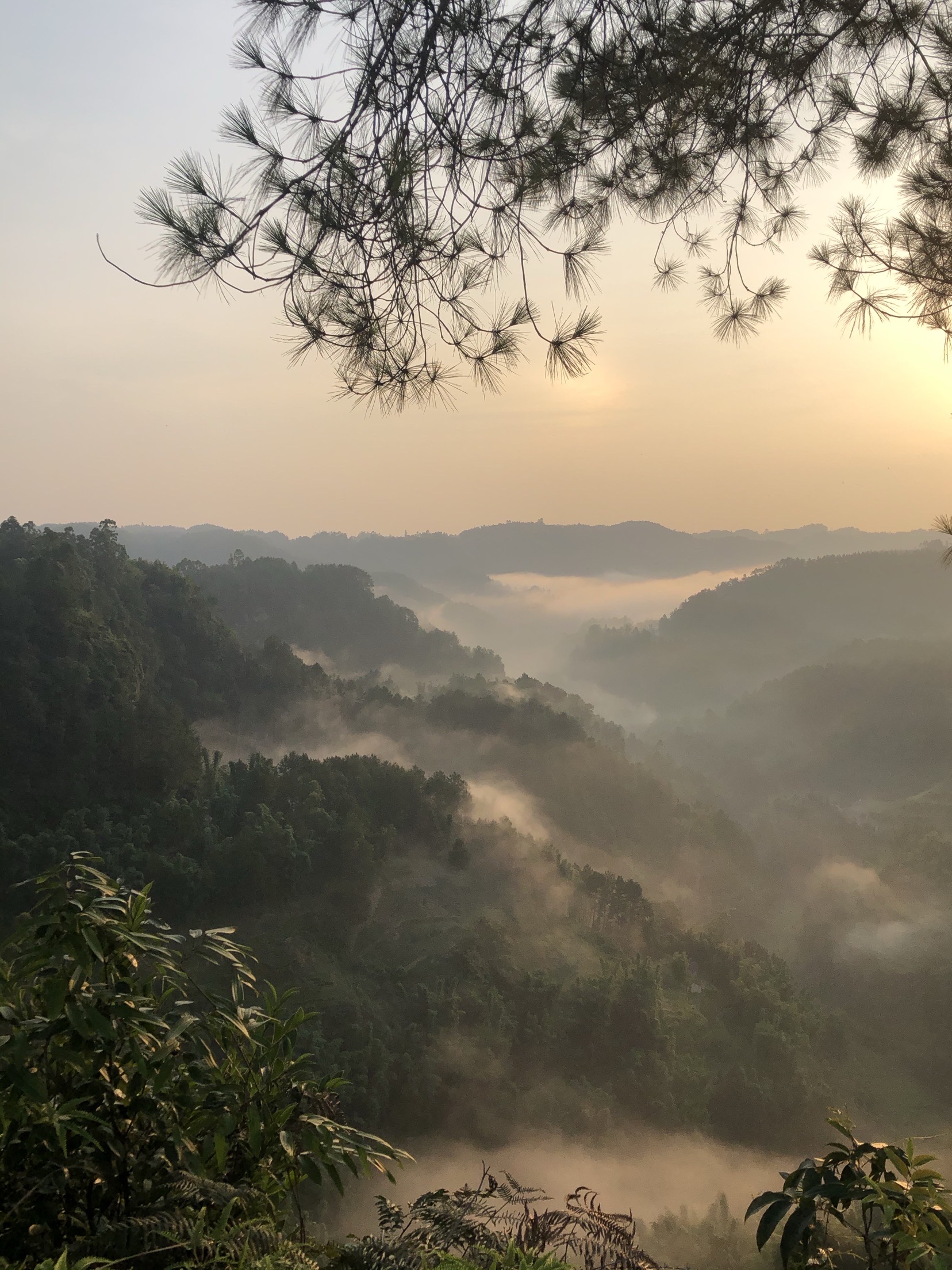 长沙湖