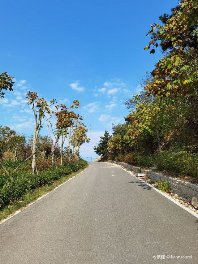 青島浮山森林公園攻略,青島浮山森林公園門票/遊玩攻略/地址/圖片