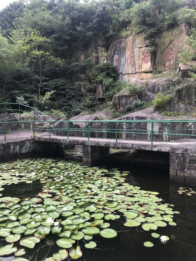 宁海伍山海滨石窟攻略,宁海伍山海滨石窟门票/游玩攻略/地址/图片/门票价格【携程攻略】