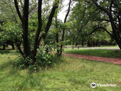 2021和光市旅游攻略,8月和光市(Wako)自助游/周边自驾/出游/自由行/游玩攻略【携程攻略】
