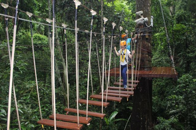 丛林冒险,一个娱乐项目