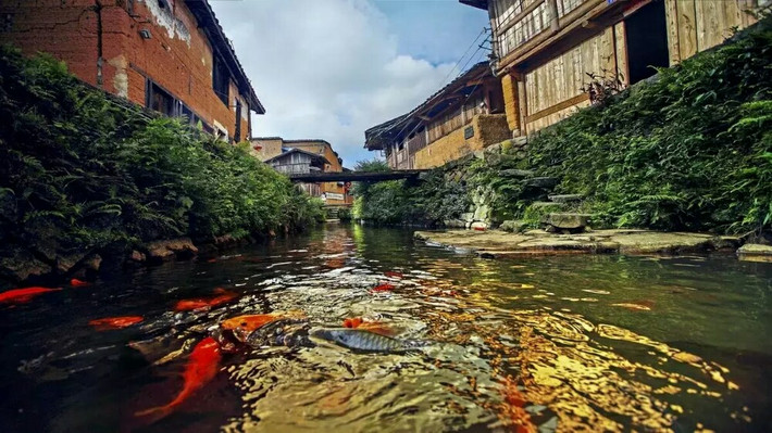 周宁县鲤鱼溪,风景区,屏南(第8页)_大山谷图库