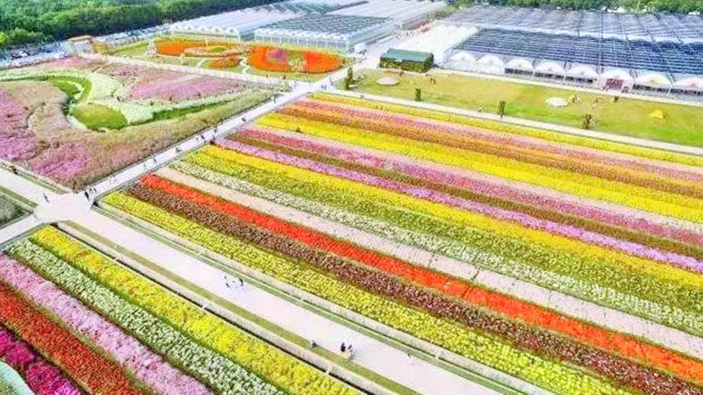 北田庄植物园