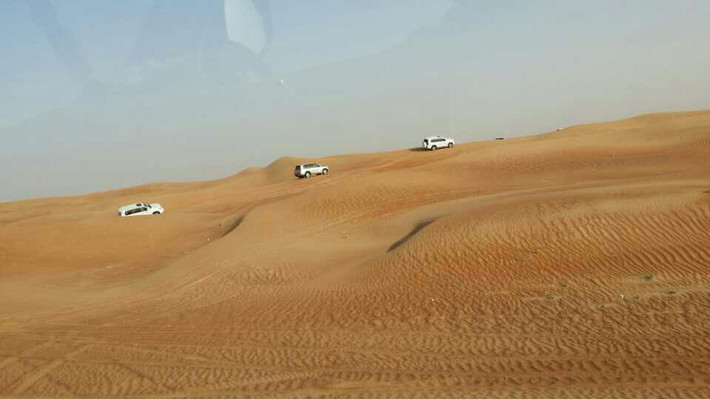 1003050000000gzm16A85_R_710_10000_Q90.jpg