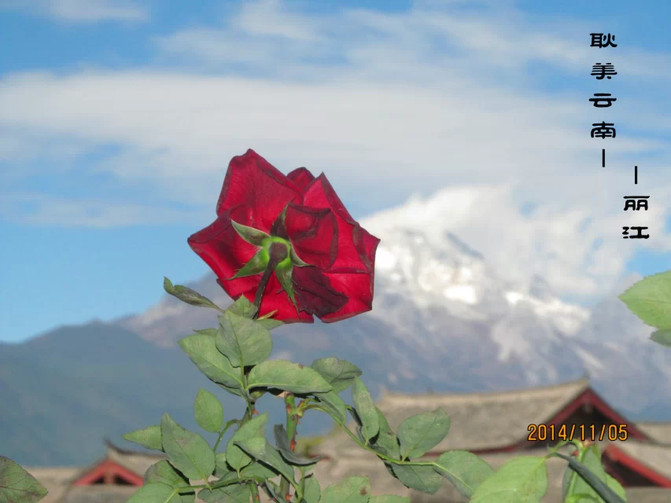 终南结什么成语_什么终什么散的成语(2)