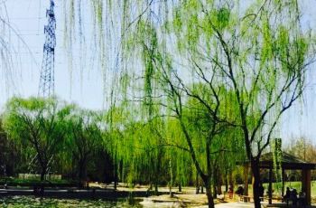 【携程攻略】马南里公园门票,北京马南里公园