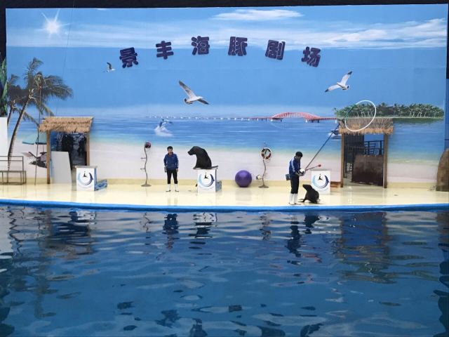 天外景丰海洋世界