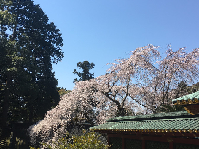 东瀛5:历史,让静冈玩起来更加耐人寻味 - 日本游