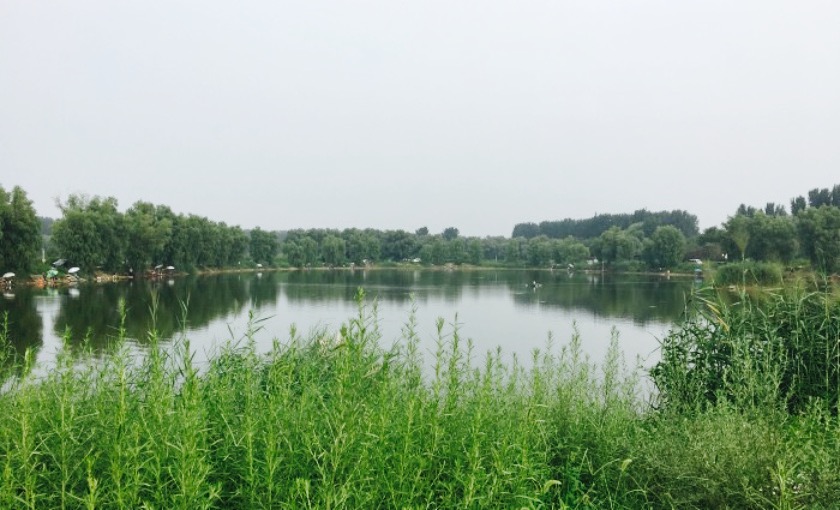 温榆河白各庄湖生态湿地