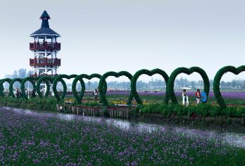 兴化千垛景区【大门票+赠送游船10人以上团票同时入园】【千垛景区营业时间8：00-16：00（包含船票）】