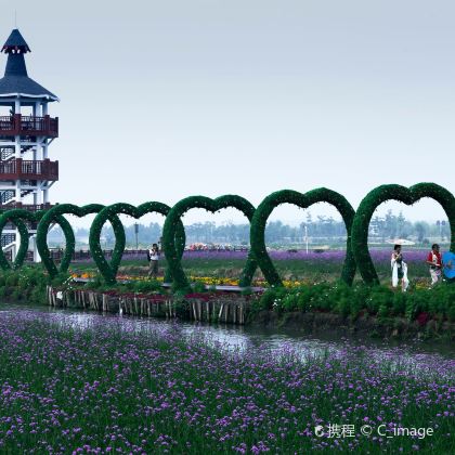 兴化千垛景区【大门票+赠送游船10人以上团票同时入园】