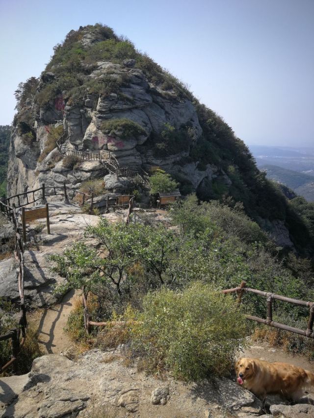 小黑山森林公园