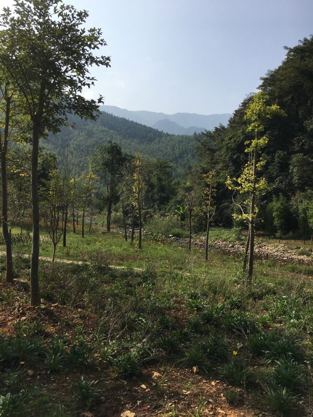 尤溪三明九阜山攻略,尤溪三明九阜山門票/遊玩攻略/地址/圖片/門票